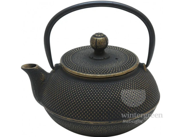 Чугунный чайник "Золотистая черепаха" с фильтром, эмалированный внутри, 600 мл. 007826