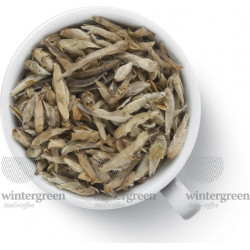 Китайский элитный чай Gutenberg Белый Пуэр "Люй Я Бао" (пуэрные почки) 500гр. 52213